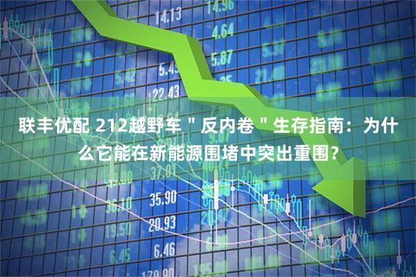 联丰优配 212越野车＂反内卷＂生存指南：为什么它能在新能源围堵中突出重围？