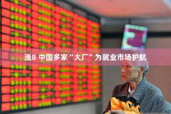 涨8 中国多家“大厂”为就业市场护航