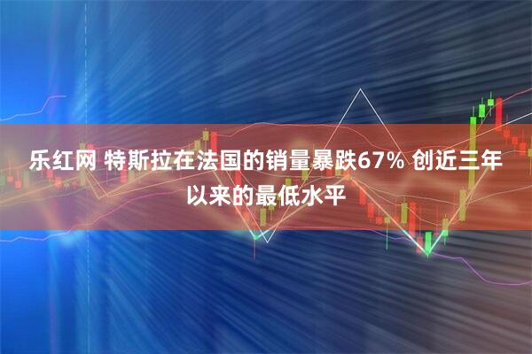 乐红网 特斯拉在法国的销量暴跌67% 创近三年以来的最低水平