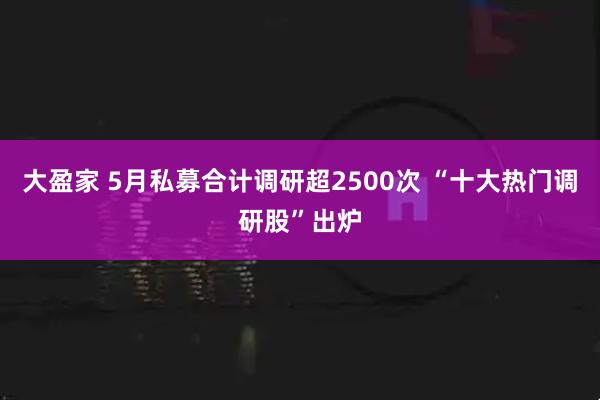 大盈家 5月私募合计调研超2500次 “十大热门调研股”出炉