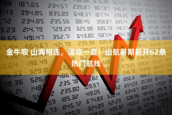 金牛呗 山海相连，清凉一夏！山航暑期新开62条热门航线