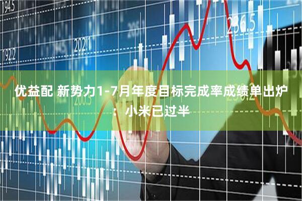 优益配 新势力1-7月年度目标完成率成绩单出炉：小米已过半