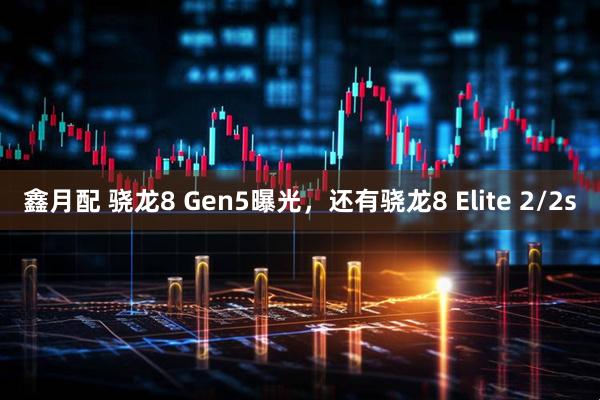 鑫月配 骁龙8 Gen5曝光，还有骁龙8 Elite 2/2s