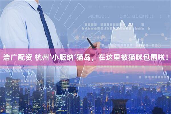 浩广配资 杭州‘小版纳’猫岛，在这里被猫咪包围啦！