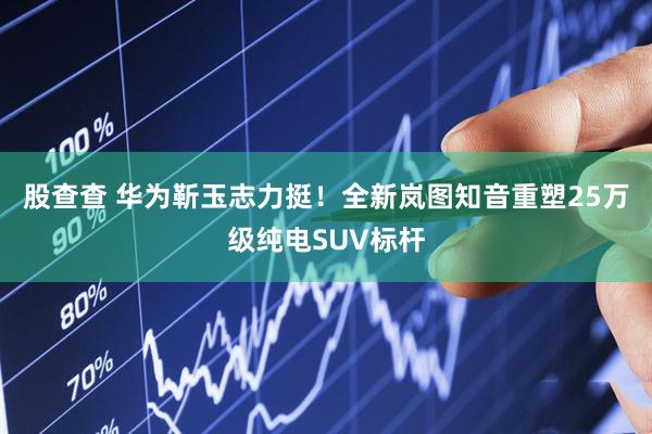 股查查 华为靳玉志力挺！全新岚图知音重塑25万级纯电SUV标杆