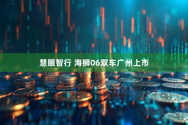慧眼智行 海狮06双车广州上市