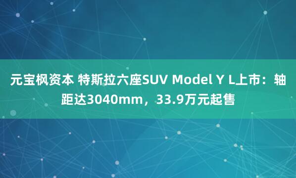 元宝枫资本 特斯拉六座SUV Model Y L上市：轴距达3040mm，33.9万元起售