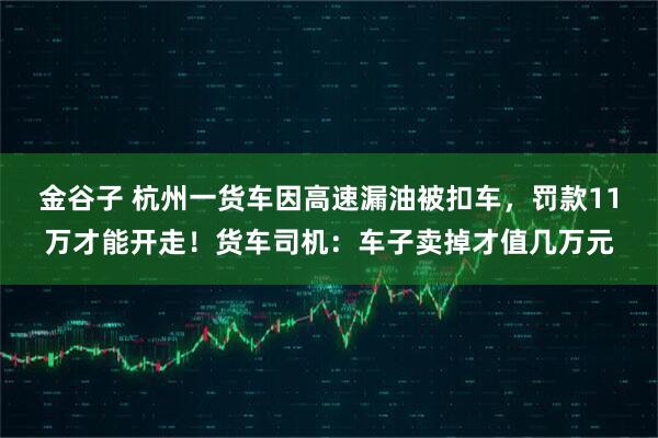 金谷子 杭州一货车因高速漏油被扣车，罚款11万才能开走！货车司机：车子卖掉才值几万元